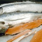 Al Arabiya (ОАЭ): остерегайтесь этих видов рыбы. Они способствуют увеличению веса (Лосось | © CC0 / Public Domain, Garitzko) Лосось | © CC0 / Pub…