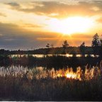 Продлись, продлись, очарованье!..